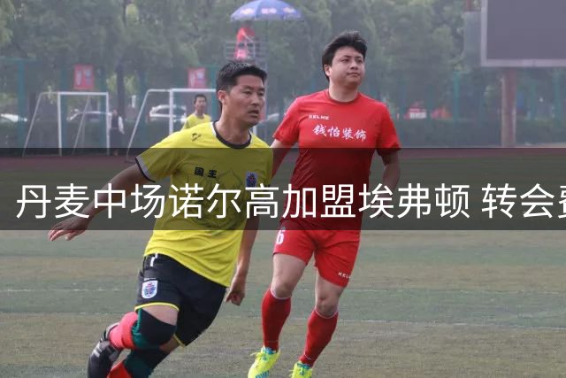 丹麦中场诺尔高加盟埃弗顿 转会费达815万欧元